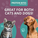 Steve’s Real Food Lamb Protein Bites Gut Boosting Bites for Cats & Dogs (4 oz) - Cat Food 8