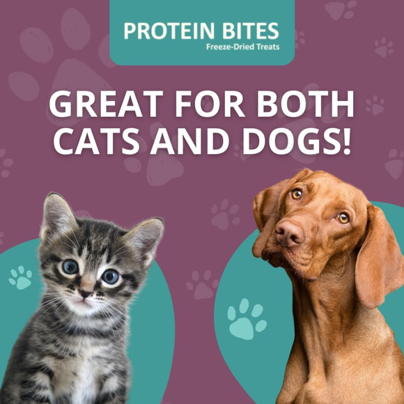 Steve’s Real Food Lamb Protein Bites Gut Boosting Bites for Cats & Dogs (4 oz) - Cat Food 8