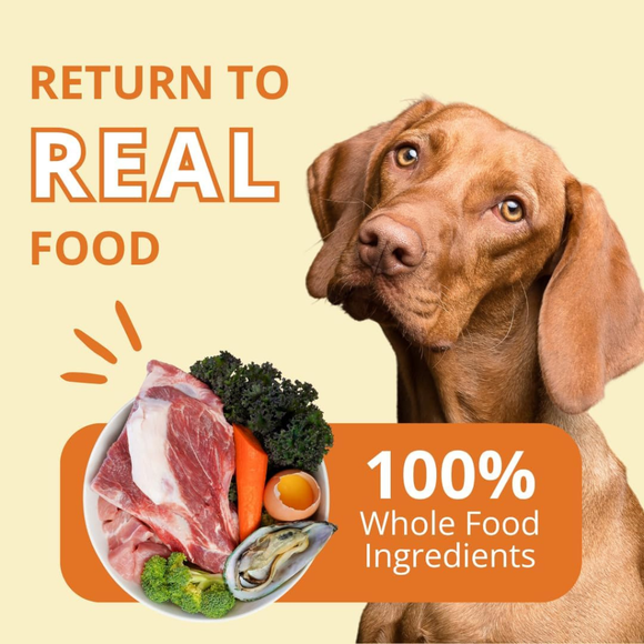 Steve’s Real Food Pork Recipe Freeze-Dried Pet Food for Cats & Dogs (1.25 lb) - Freeze-Dried Dog & Cat Food 6