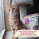 Steve’s Real Food Quest Beef Recipe Freeze-Dried Cat Food (10 oz) - Cat Food 5