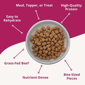 Steve’s Real Food Quest Beef Recipe Freeze-Dried Cat Food (10 oz) - Cat Food 2