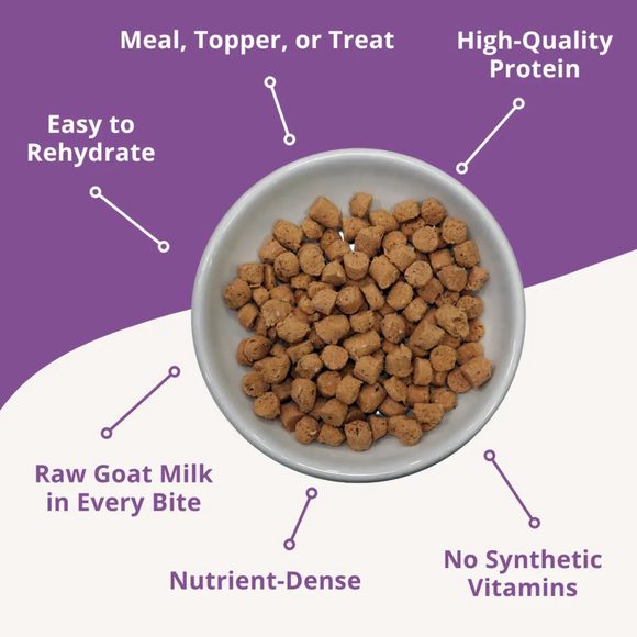 Steve’s Real Food Quest Chicken Recipe Freeze-Dried Cat Food (10 oz) - Cat Food 2