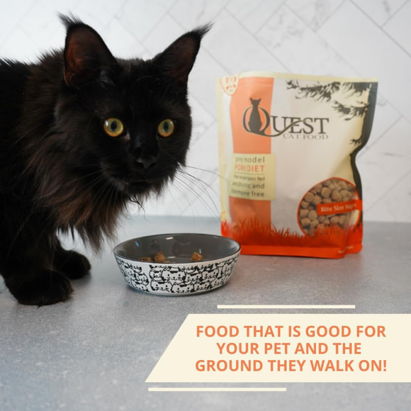 Steve’s Real Food Quest Pork Recipe Freeze-Dried Cat Food (10 oz) - Cat Food 4