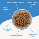 Steve’s Real Food Quest White Fish Recipe Freeze-Dried Cat Food (10 oz) - Cat Food 2