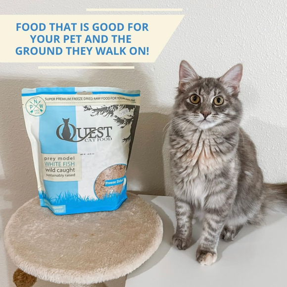 Steve’s Real Food Quest White Fish Recipe Freeze-Dried Cat Food (10 oz) - Cat Food 5