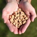 Steve’s Real Food Quest White Fish Recipe Freeze-Dried Cat Food (10 oz) - Cat Food 3