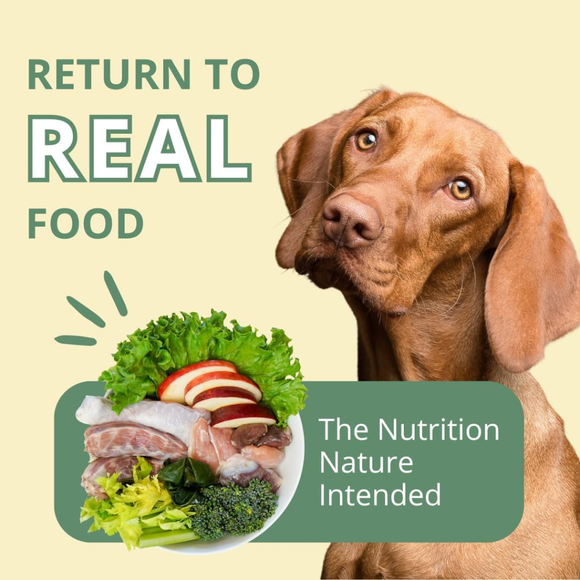 Steve’s Real Food Turducken Recipe Freeze-Dried Pet Food for Cats & Dogs (1.25 lb) - Freeze-Dried Dog & Cat Food 5