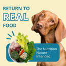 Steve’s Real Food Turkey Recipe Freeze-Dried Pet Food for Cats & Dogs (1.25 lb) - Freeze-Dried Dog & Cat Food 6