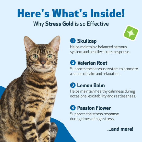 Stress Gold - For High Stress Situations in Cats (2 oz) - Cat Supplements & Vitamins 4