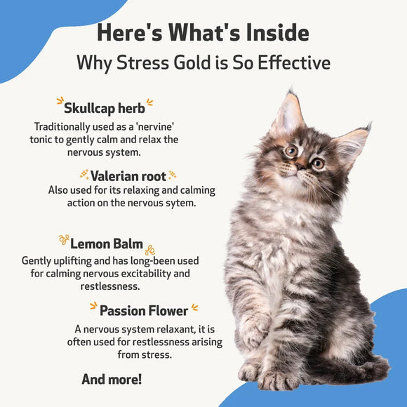 Stress Gold - For High Stress Situations in Cats (2 oz) - Cat Supplements & Vitamins 7