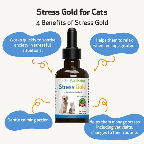Stress Gold - For High Stress Situations in Cats (2 oz) - Cat Supplements & Vitamins 5