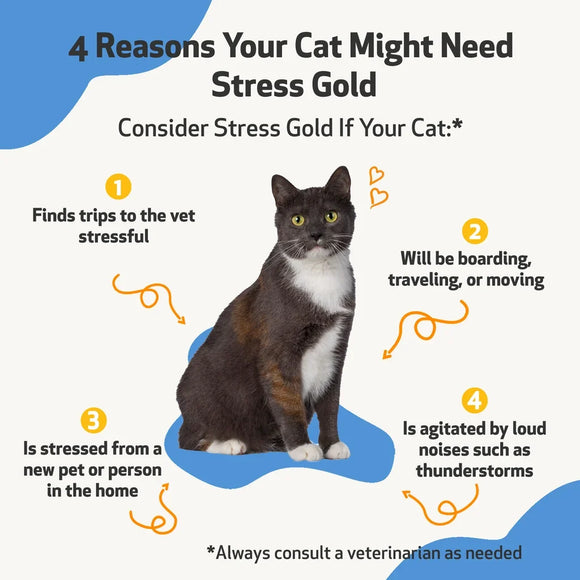 Stress Gold - For High Stress Situations in Cats (2 oz) - Cat Supplements & Vitamins 4