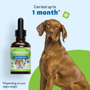 Stress Gold - For High Stress Situations in Dogs (2 oz) - Dog Supplements & Vitamins 6