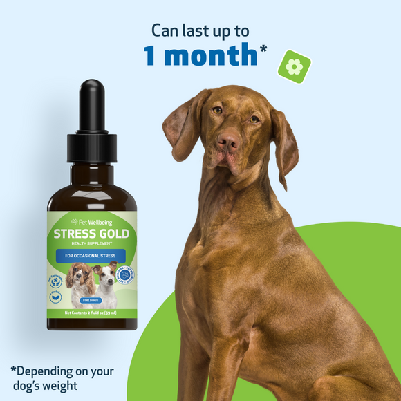 Stress Gold - For High Stress Situations in Dogs (2 oz) - Dog Supplements & Vitamins 6