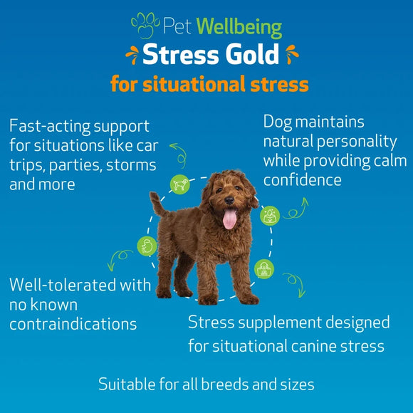 Stress Gold - For High Stress Situations in Dogs (2 oz) - Dog Supplements & Vitamins 3