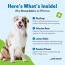 Stress Gold - For High Stress Situations in Dogs (2 oz) - Dog Supplements & Vitamins 4
