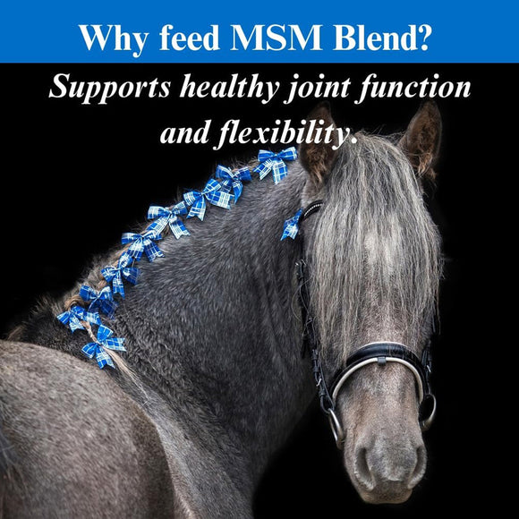 Su-Per MSM Blend Powder for Horse 2.5-lb - Joint Supplements for Horses 4