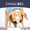 Synacore Dog - Natural Formula to Provide Immune Support for Dogs & Help MaintainDigestive Health - Probiotics
