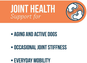 Synovi G4 Soft Chews Joint Supplement for Dogs