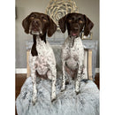 Tall Tails Dog & Cat Waterproof Blanket 40’’ x 60’’ - Dog Beds & Furniture 8