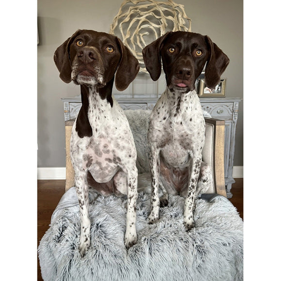 Tall Tails Dog & Cat Waterproof Blanket 40’’ x 60’’ - Dog Beds & Furniture 8