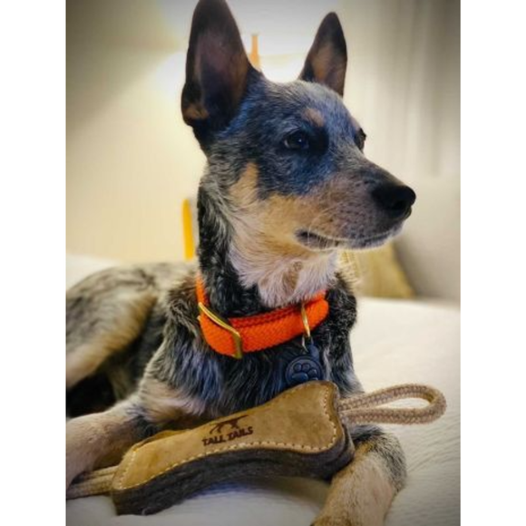 Tall Tails Natural Leather Bone Tug Toy for Dogs - 16