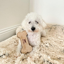 Tall Tails Natural Leather Bone Tug Toy for Dogs - 5