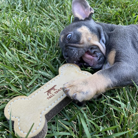 Tall Tails Natural Leather Bone Tug Toy for Dogs - 7