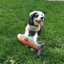 Tall Tails Plush Fish Squeaker Dog Toy in garden with adog