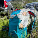 Tall Tails Plush Yeti Durable Squeaker Tug Dog Toy
