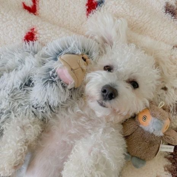Tall Tails Plush Yeti Durable Squeaker Tug Dog Toy - with dog