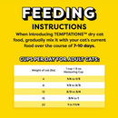 Temptations Block Party BBQ Dry Cat Food