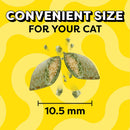 Temptations Classics Blissful Catnip Flavor Soft & Crunchy Cat Treats