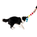 Territory Floating Tug Toy for Dogs - Dog Toys 10