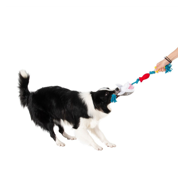 Territory Floating Tug Toy for Dogs - Dog Toys 5
