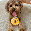 Territory Hide-A-Treat Dog Toy - Dog Toys 9