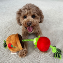 Territory Treat-and-Tug Dog Toy - Dog Toys 8