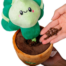 Territory Treat-and-Tug Dog Toy - Dog Toys 29
