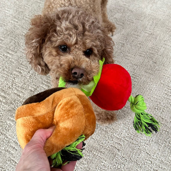 Territory Treat-and-Tug Dog Toy - Dog Toys 9