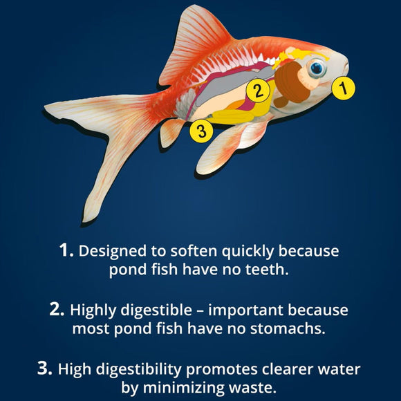 Tetra Color Enhancing Koi Vibrance Sticks
