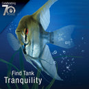 Tetra Whisper Aquarium Non-UL Air Pump