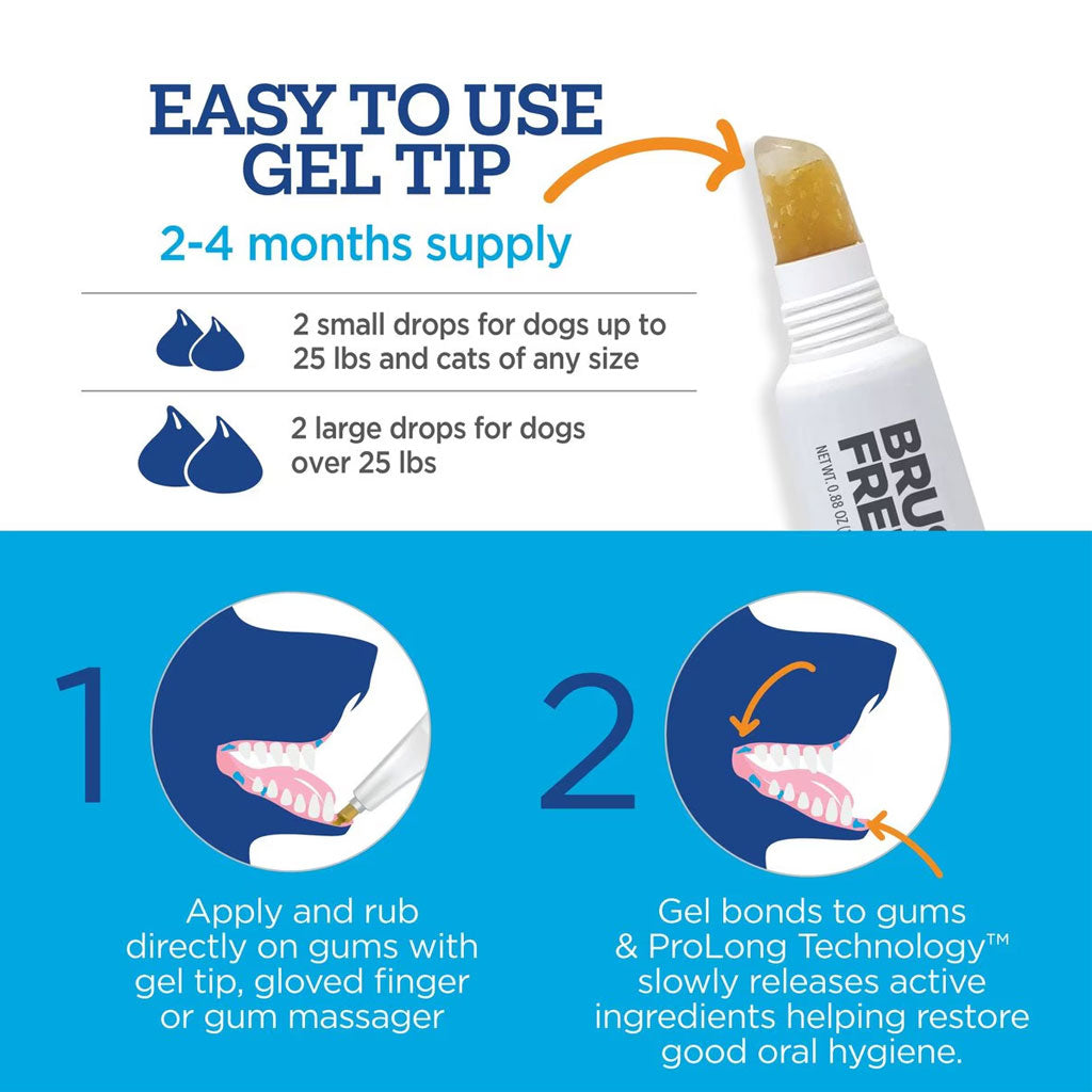 glutathione gel for dogs 9 Ways To Boost In VETOQUINOL Methigel Gel Urinary Supplement