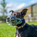 The Company of Animals Baskerville Invisa Muzzle - Dog Muzzles 8
