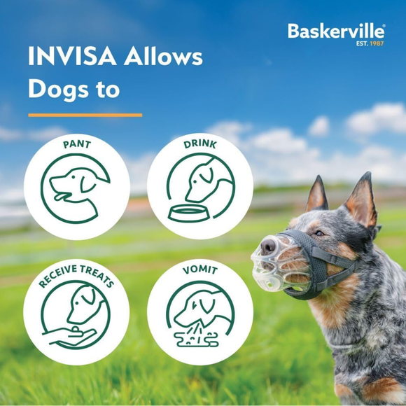 The Company of Animals Baskerville Invisa Muzzle - Dog Muzzles 7