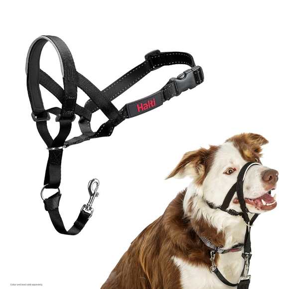 The Company of Animals Halti Head Collar For Dogs - Black / Size 2 - Pet Collars & Harnesses 5
