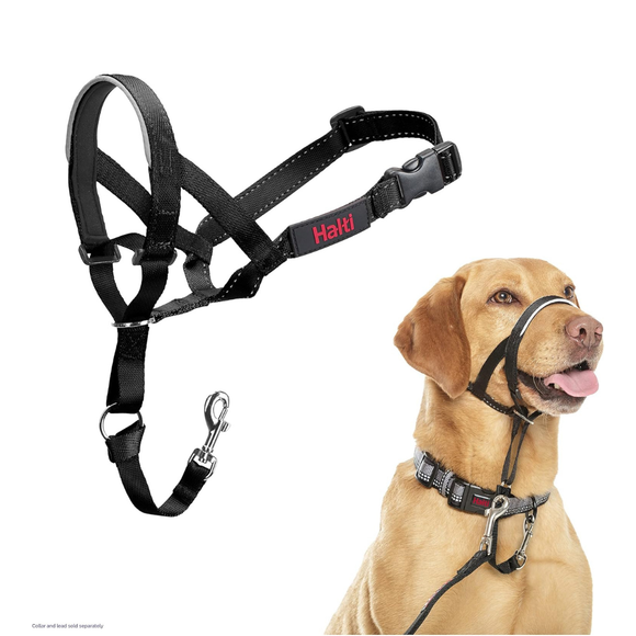 The Company of Animals Halti Head Collar For Dogs - Black / Size 3 - Pet Collars & Harnesses 6