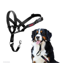 The Company of Animals Halti Head Collar For Dogs - Black / Size 4 - Pet Collars & Harnesses 7