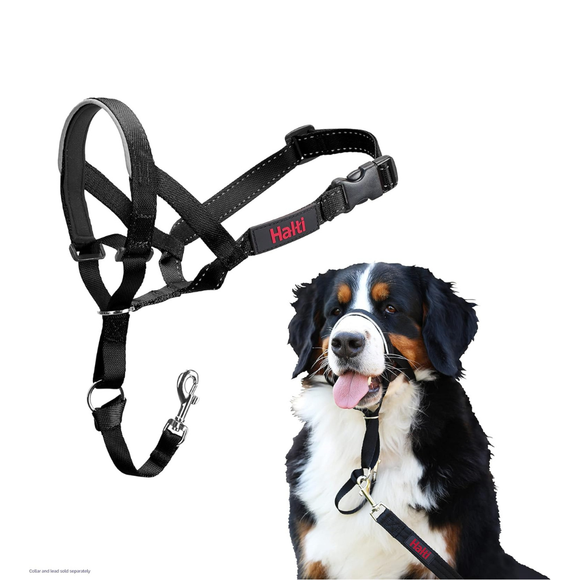 The Company of Animals Halti Head Collar For Dogs - Black / Size 4 - Pet Collars & Harnesses 7