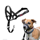 The Company of Animals Halti Head Collar For Dogs - Black / Size - Pet Collars & Harnesses 1