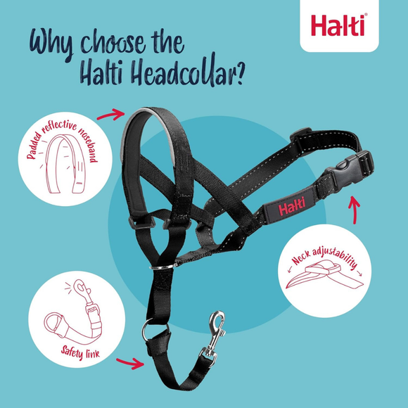 The Company of Animals Halti Head Collar For Dogs - Pet Collars & Harnesses 3